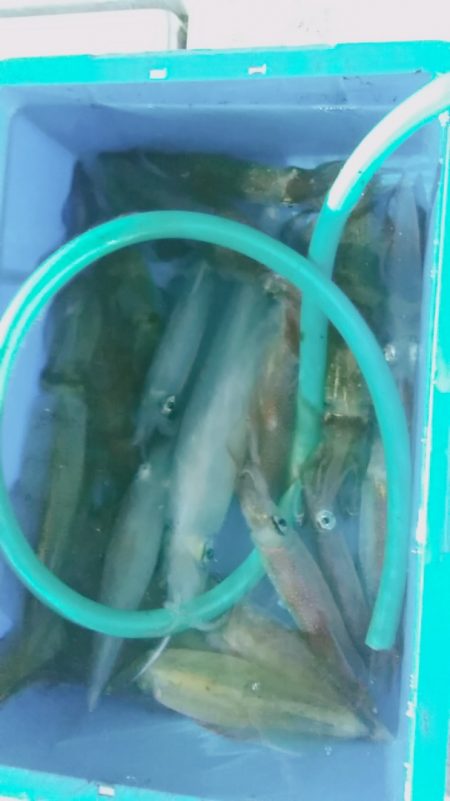 LUSTER『ラスター』 釣果