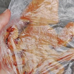 LUSTER『ラスター』 釣果