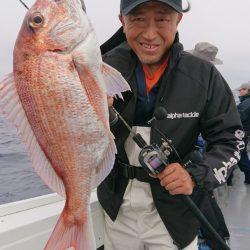 だて丸 釣果