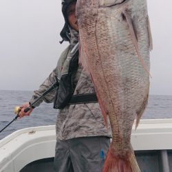 だて丸 釣果