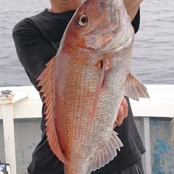 だて丸 釣果