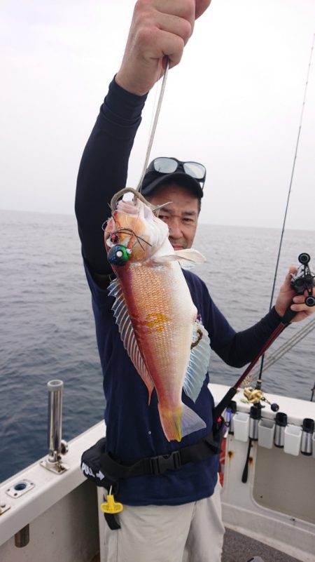 ARCADIAⅡ (アルカディアⅡ) 釣果