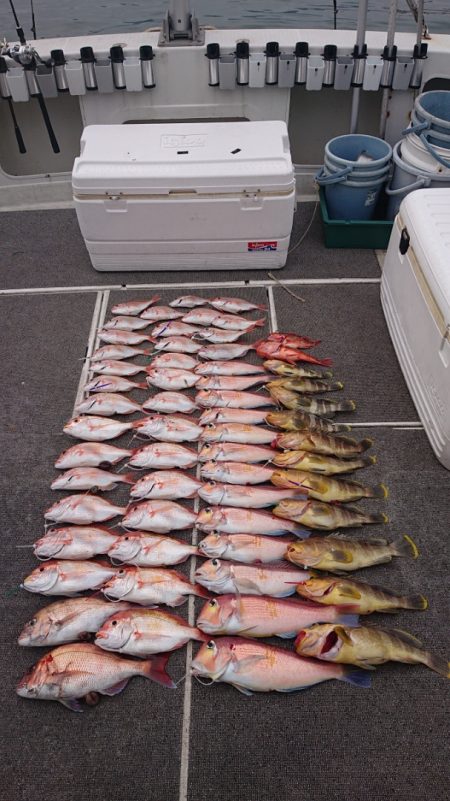 ARCADIAⅡ (アルカディアⅡ) 釣果