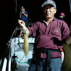 LUSTER『ラスター』 釣果