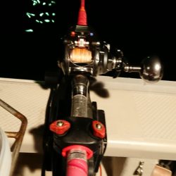 金沢八景鴨下丸 釣果