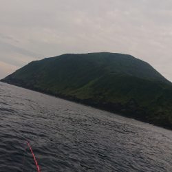 金沢八景鴨下丸 釣果