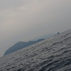 金沢八景鴨下丸 釣果