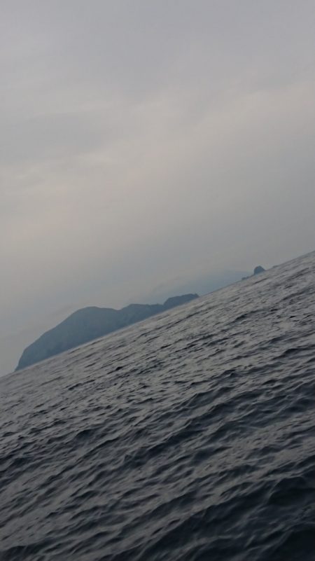 金沢八景鴨下丸 釣果