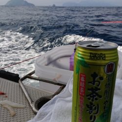 金沢八景鴨下丸 釣果