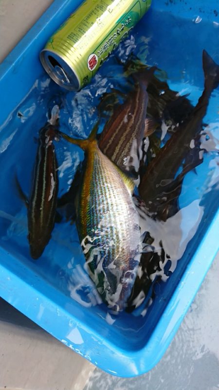 金沢八景鴨下丸 釣果