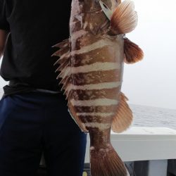 第二龍勢丸 釣果