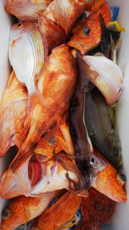 第二龍勢丸 釣果