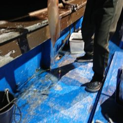 海龍丸（石川） 釣果