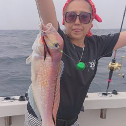 ARCADIAⅡ (アルカディアⅡ) 釣果