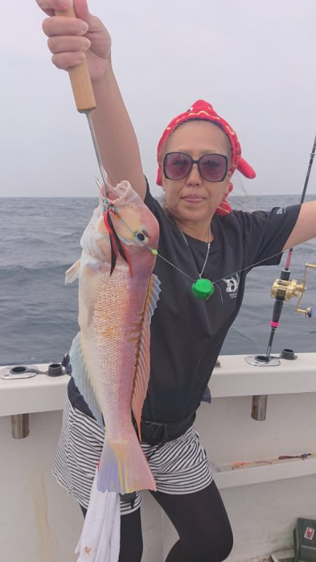 ARCADIAⅡ (アルカディアⅡ) 釣果