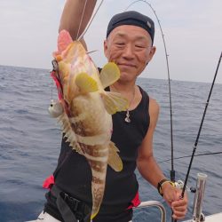 ARCADIAⅡ (アルカディアⅡ) 釣果