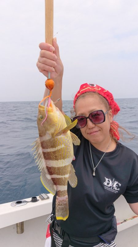 ARCADIAⅡ (アルカディアⅡ) 釣果