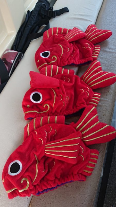 ARCADIAⅡ (アルカディアⅡ) 釣果