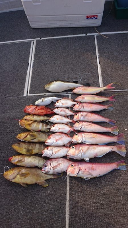 ARCADIAⅡ （アルカディアⅡ） 釣果…