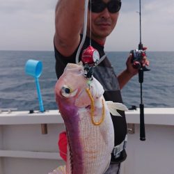 ARCADIAⅡ (アルカディアⅡ) 釣果