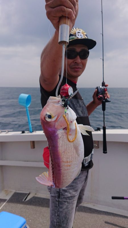 ARCADIAⅡ (アルカディアⅡ) 釣果