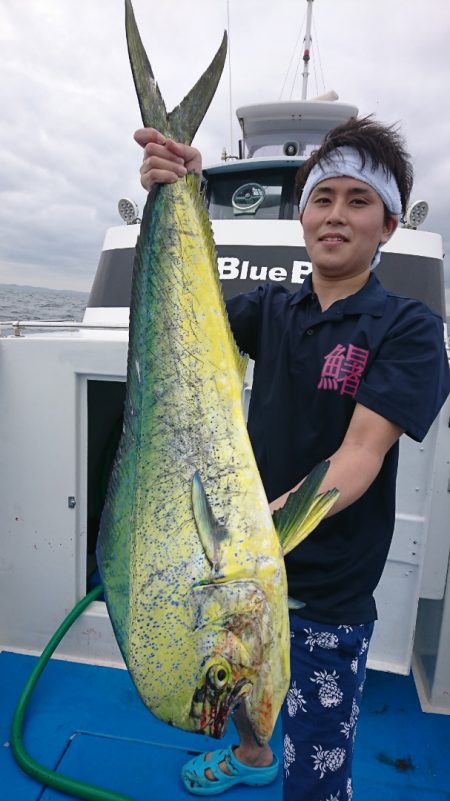 第三共栄丸 釣果