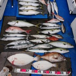 清和丸 釣果