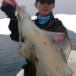 きずなまりん 釣果