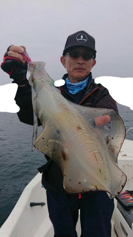 きずなまりん 釣果