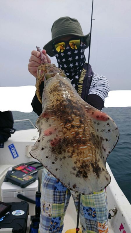 きずなまりん 釣果