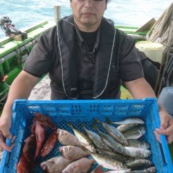 小島丸 釣果
