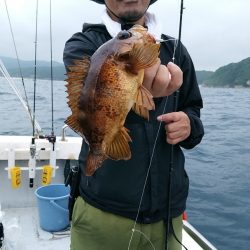 LUSTER『ラスター』 釣果