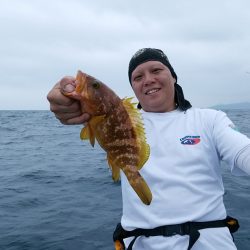 LUSTER『ラスター』 釣果