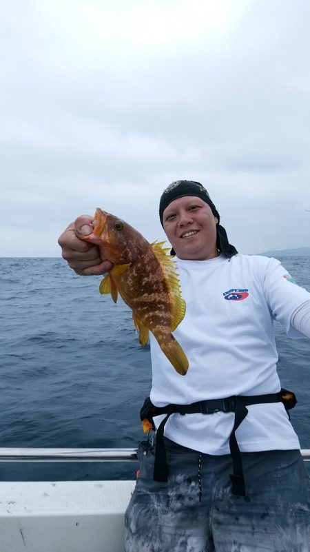 LUSTER『ラスター』 釣果