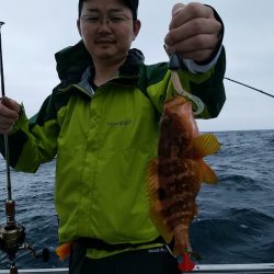 LUSTER『ラスター』 釣果