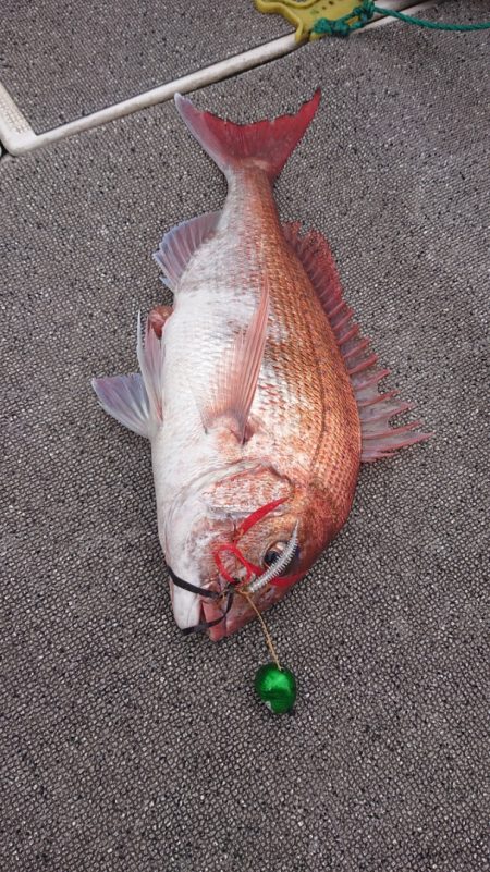 ARCADIAⅡ (アルカディアⅡ) 釣果