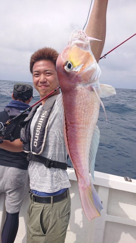 ARCADIAⅡ (アルカディアⅡ) 釣果