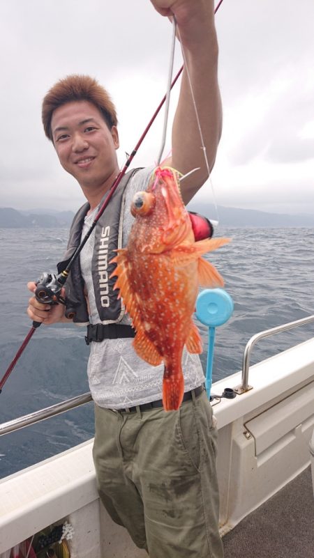 ARCADIAⅡ (アルカディアⅡ) 釣果