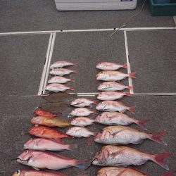 ARCADIAⅡ (アルカディアⅡ) 釣果