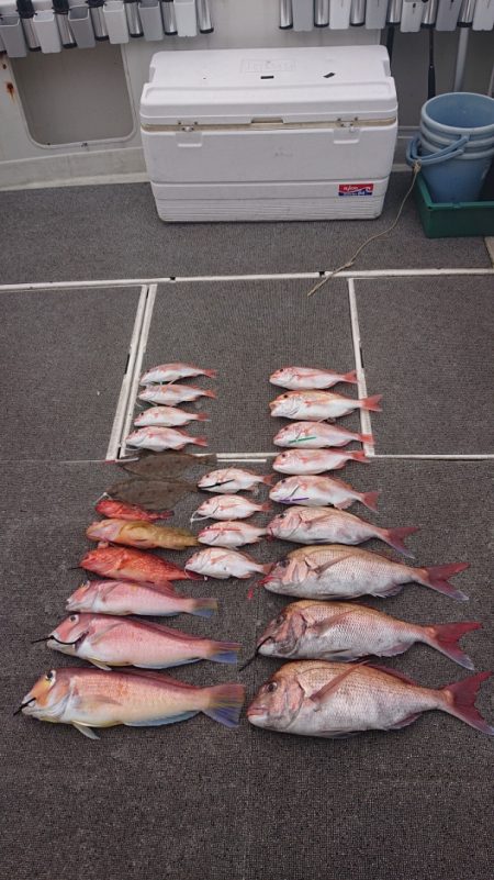 ARCADIAⅡ （アルカディアⅡ） 釣果…