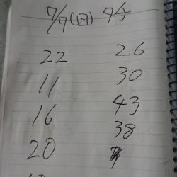 金沢八景鴨下丸 釣果