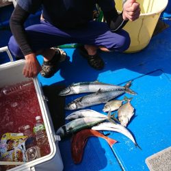 清和丸 釣果
