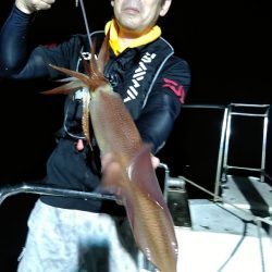 LUSTER『ラスター』 釣果