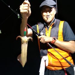 LUSTER『ラスター』 釣果