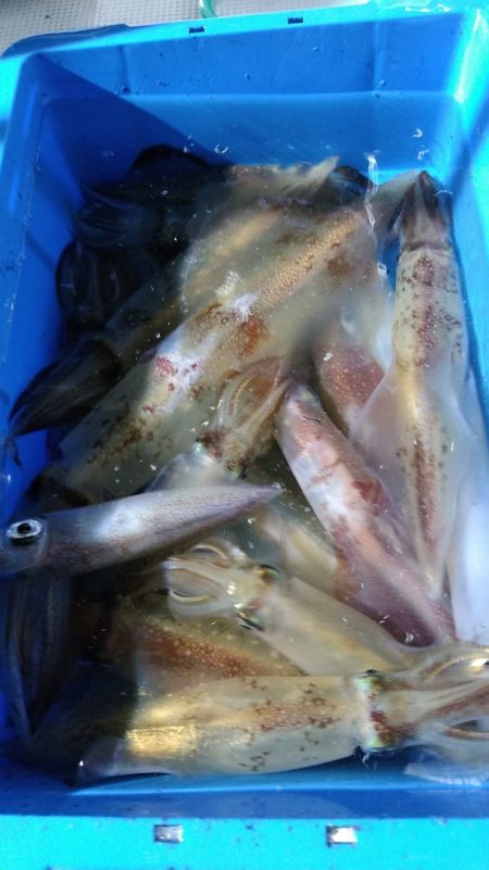 LUSTER『ラスター』 釣果