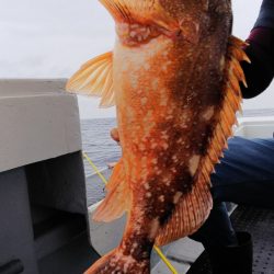 第二龍勢丸 釣果