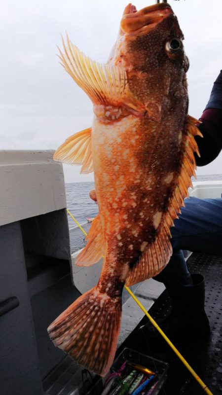 第二龍勢丸 釣果