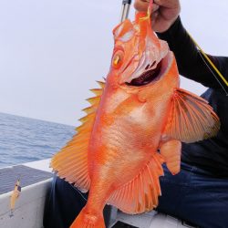 第二龍勢丸 釣果