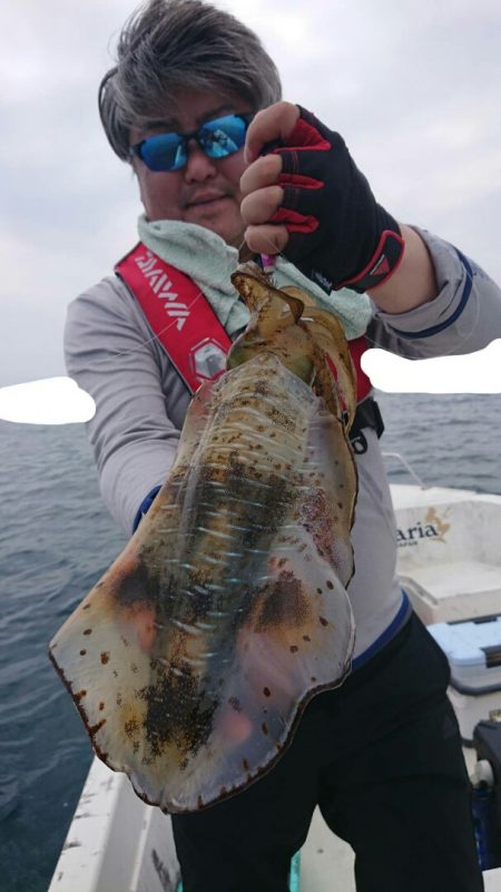 きずなまりん 釣果