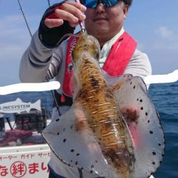 きずなまりん 釣果